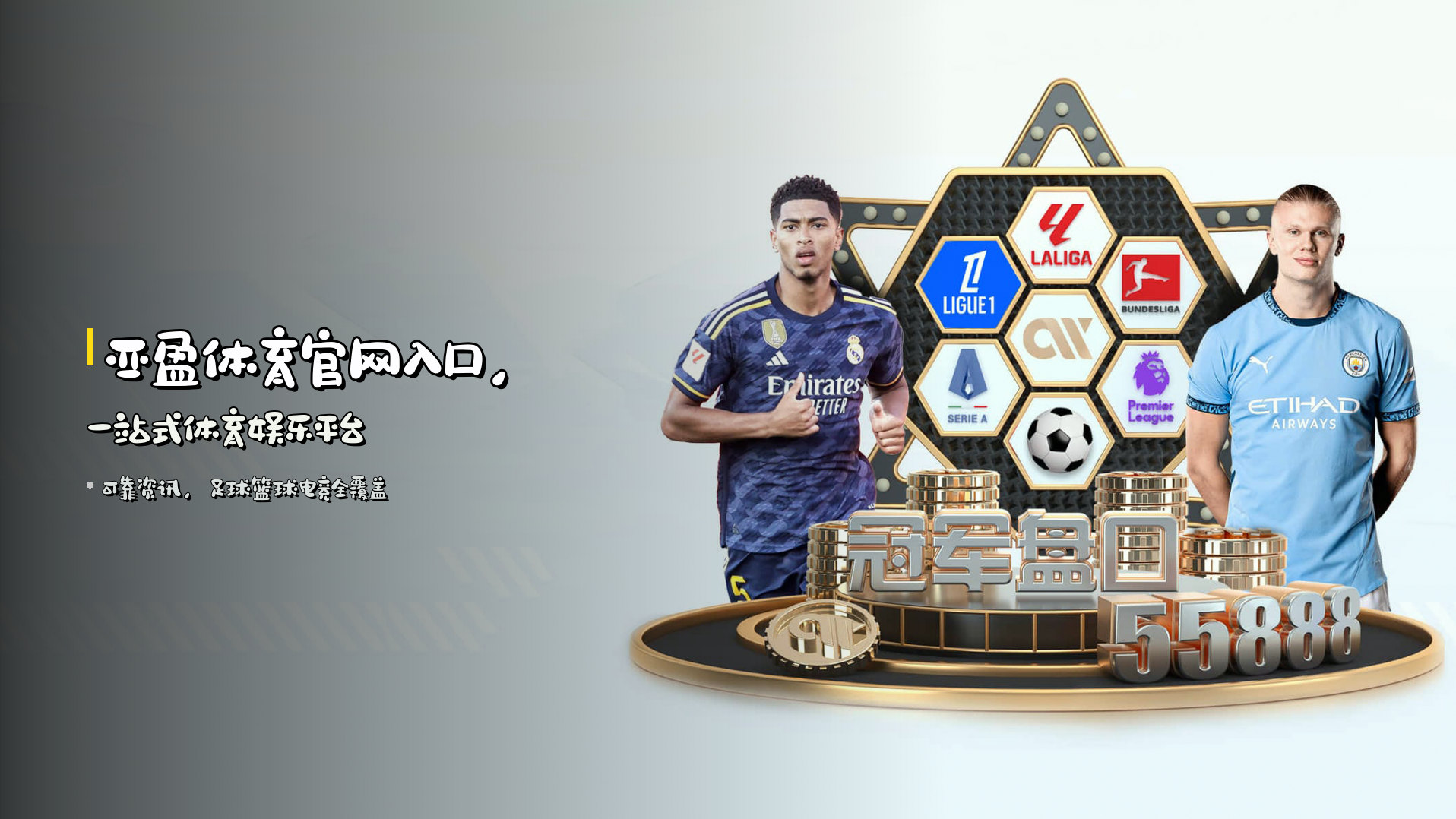 亚盈体育官网入口，一站式体育娱乐平台